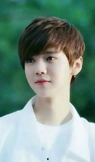 鹿晗家庭背景太大,家庭背景揭秘，巨星背后的故事