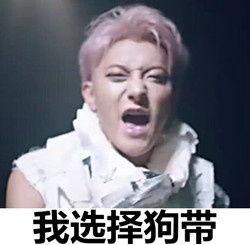 塘主表情包视频,网络爆笑新宠，带你领略短视频魅力