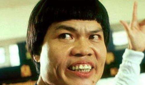 八两金演员,演艺生涯的璀璨星光